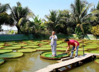 Vãn cảnh chùa Phước Kiển - ngôi chùa độc đáo xứ sen hồng Đồng Tháp